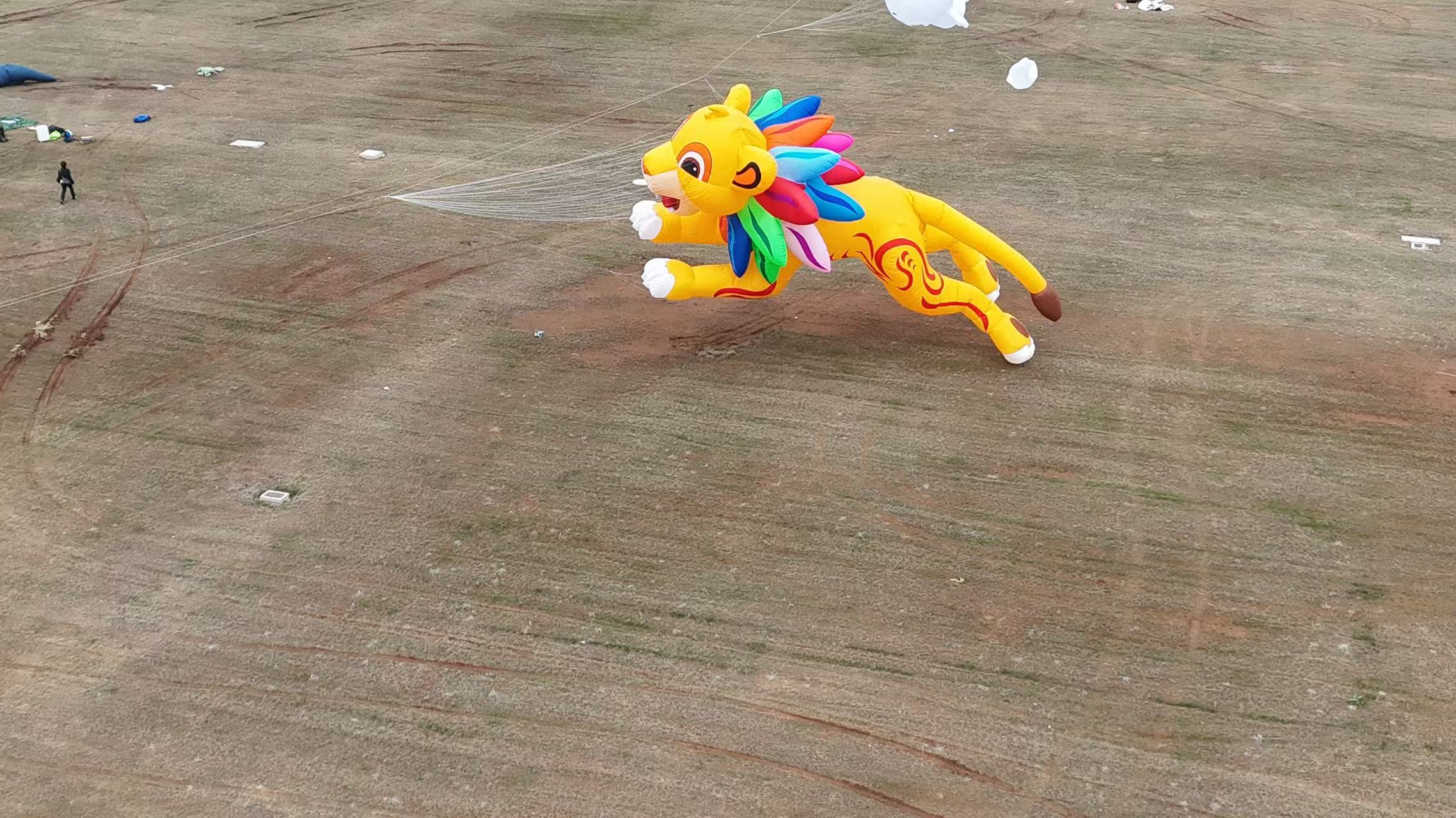 许昌市品牌风筝定制风筝商业放飞 - 方案