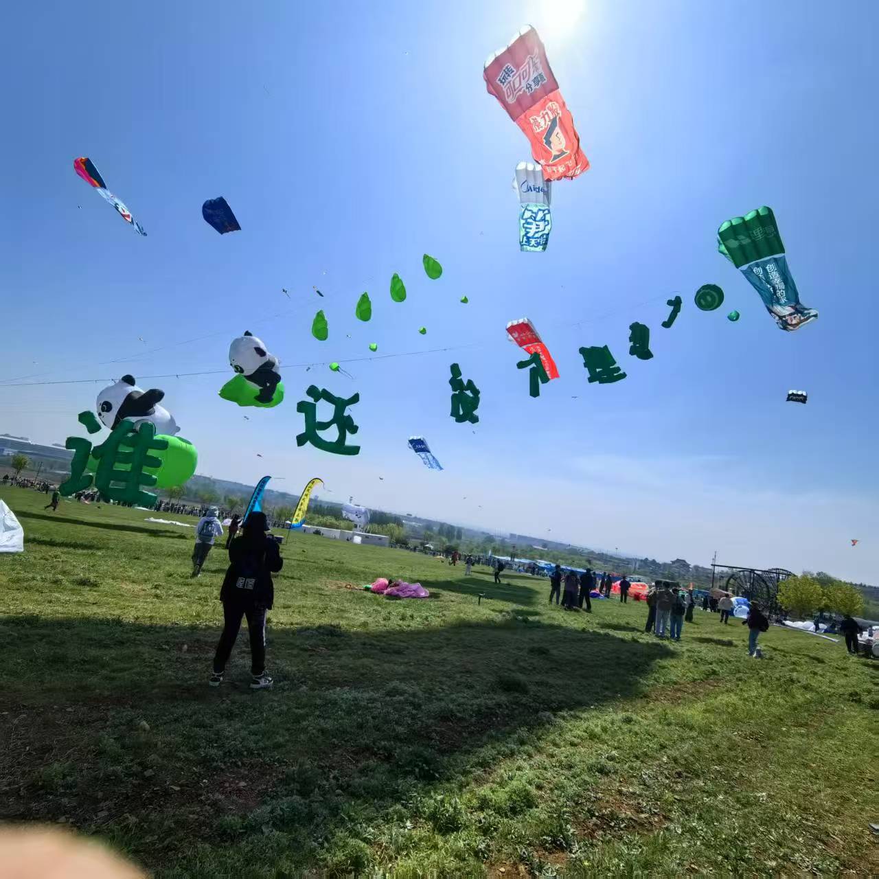 许昌市儿童风筝定制风筝定制 - 哪里好